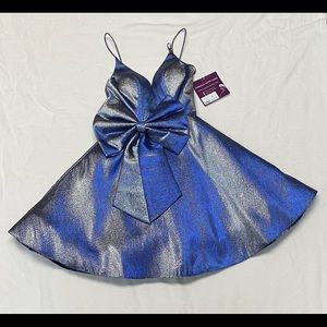 Ashley Lauren cocktail NWT